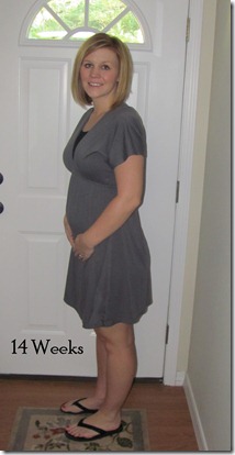 14 Weeks 14 Weeks