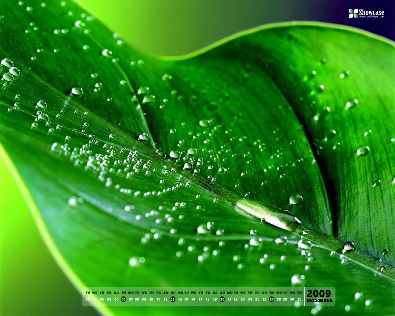 -wallpaper-calendars-background-december-2009-green-hd-wallpaper ...