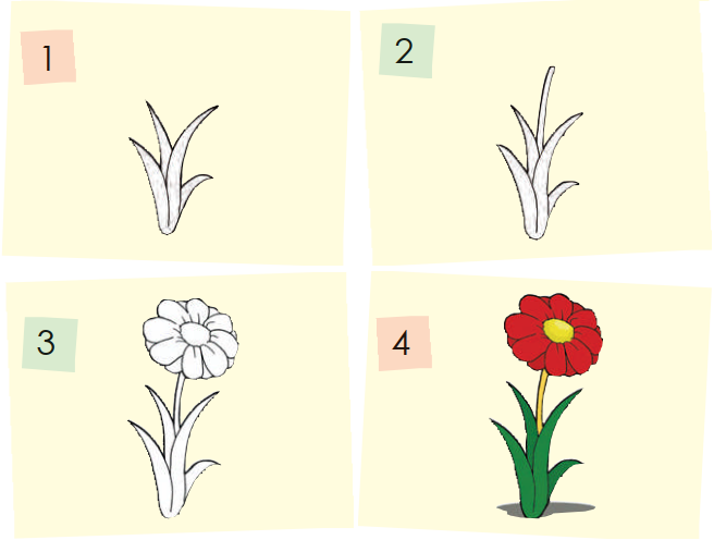 Cara Gambar Bunga Gampang 