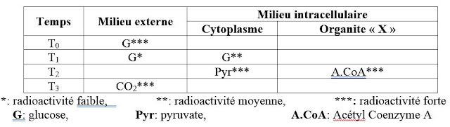 Étapes de la dégradation du glucose en aérobiose