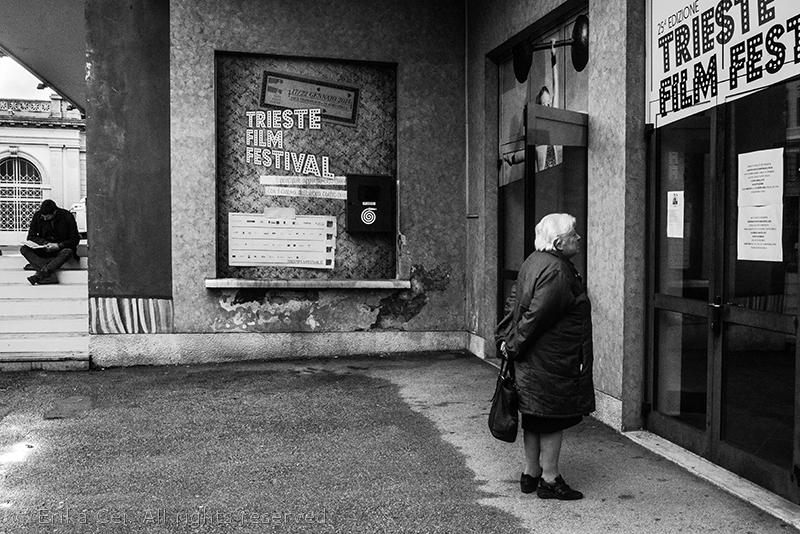 Sala Tripcovich, Trieste, Trieste Film festival 2014