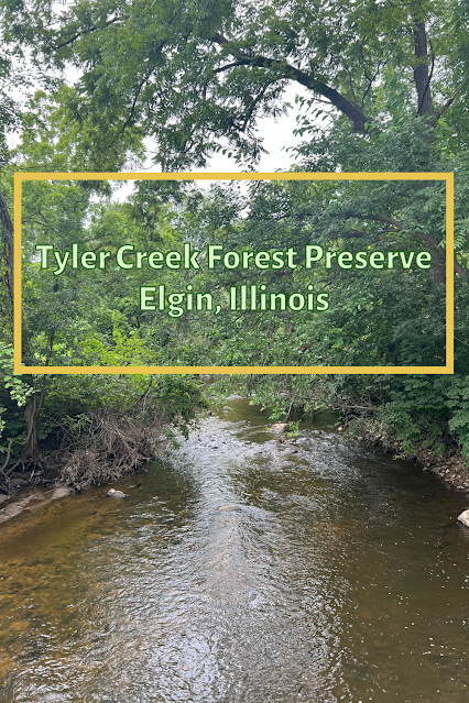 Tyler Creek Forest Preserve Delights with a Meandering Creek, Woodlands and Prairie Flowers in Elgin, Illinois