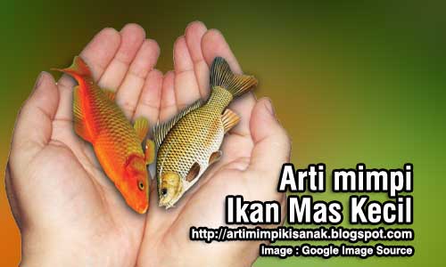 Arti mimpi ikan mas kecil