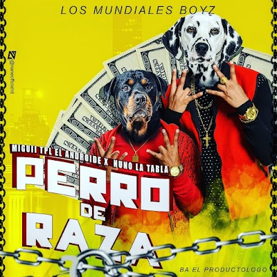 Los Mundiales Boys - Perro De Raza