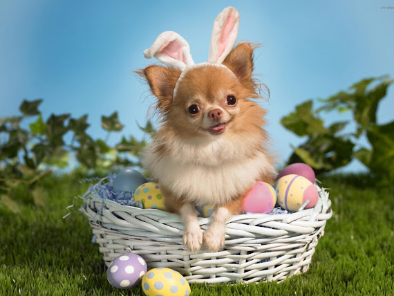 Happy Easter download besplatne pozadine za desktop 1152x864 slike ecard čestitke blagdani Uskrs