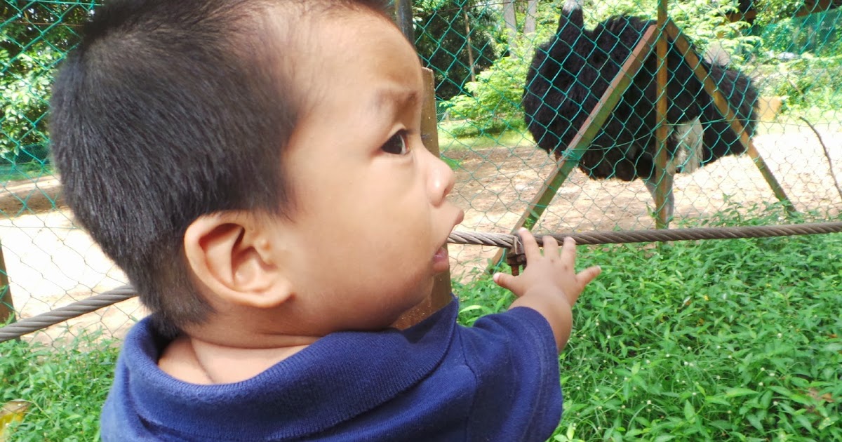 CERITA TENTANG AHMAD: Kelainan Telinga Anak Pierre Robin