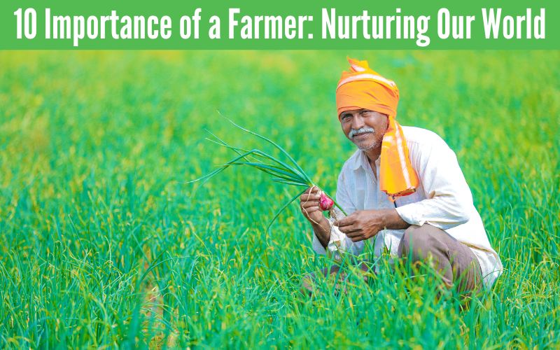 10 Importance of a Farmer: Nurturing Our World - Web News Orbit