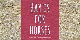 Hay is for Horses | 8 Sayings That Will Actually Have my Kids Laughing When I'm Dead