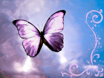 Butterfly Wallpaper