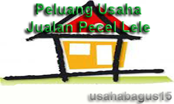 Prospek Usaha Jualan Pecel Lele