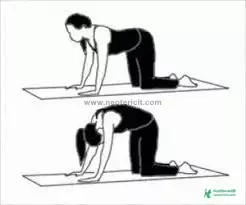 Exercises to grow taller - Scientific way to grow taller - How to grow taller fast - lomba howar upay - NeotericIT.com - Image no 5