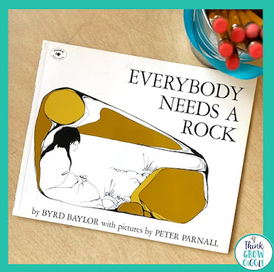 everybody needs a rock picture book for testing days for children