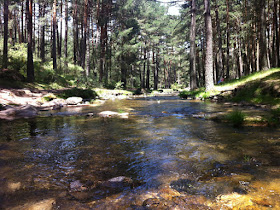 Ruta en bici de Cercedilla a Segovia, junio 2012