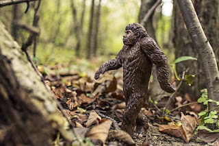 Cryptozoologists search for Bigfoot and other creatures. It is illogical to reject all evidence for the existence of cryptids and others out of hand.