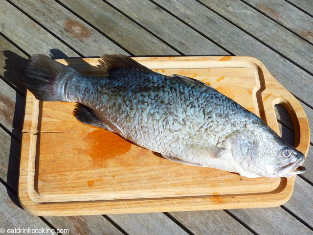 Barramundi geschuppt und ausgenommen