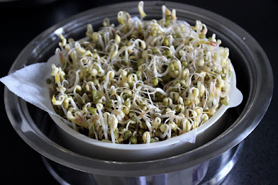 Mung bean sprouts 绿豆芽