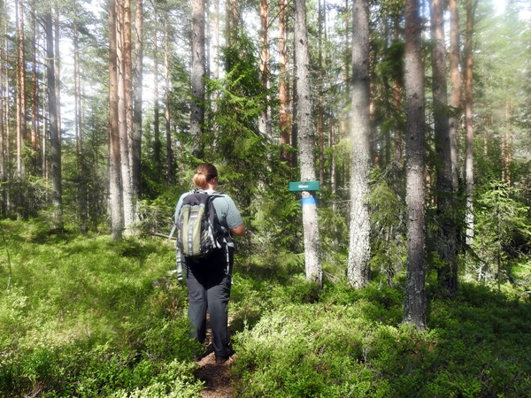 Fugleleikåsen Jerpedokka Seteråsen Gammelvollåsen Holleia Månen Haugerudsletta Lønjakleivåsen Flannumsmarka Abelone Moltemyrmoen