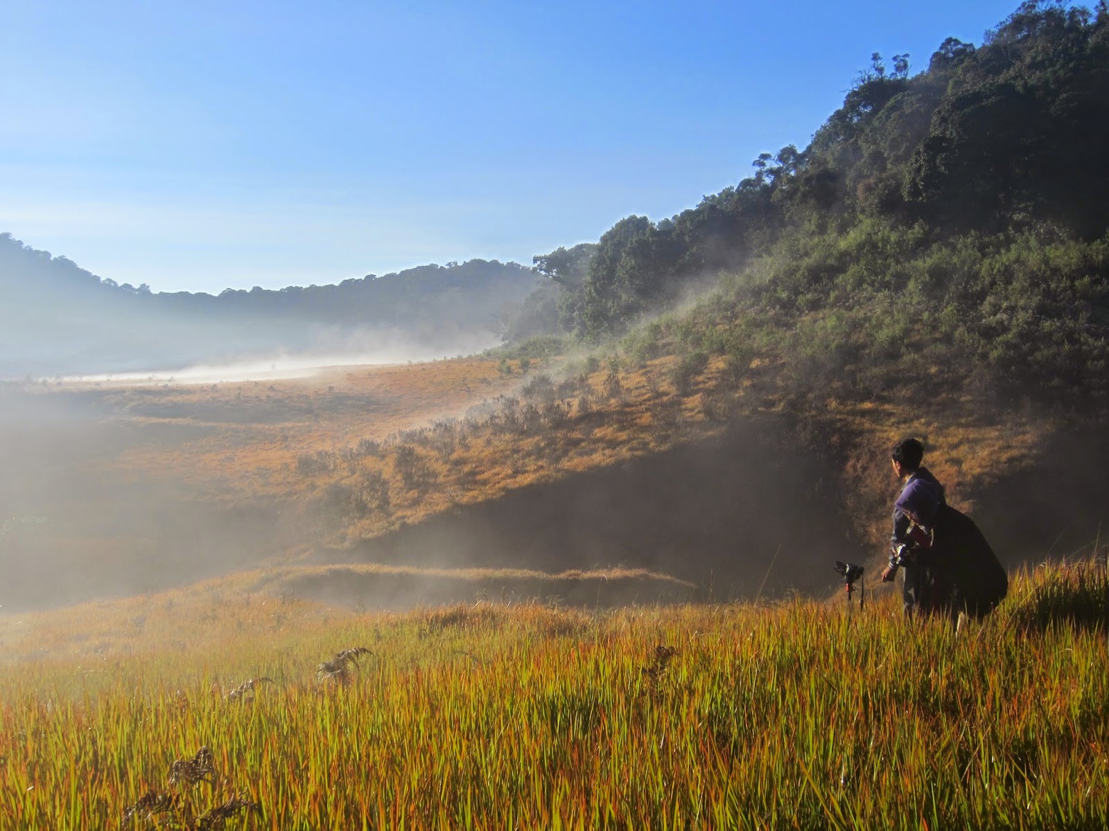 Tegal Panjang Padang Ilalang Nan Cantik Di Gunung Papandayan