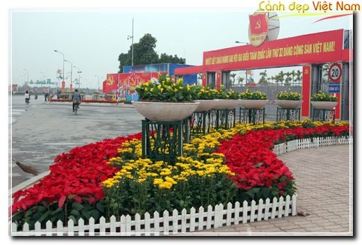 Dai-hoi-dang_4