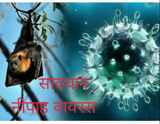 Nipah virus in rajasthan Alert 