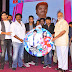 Kotha Janta Movie Audio Launch Gallery