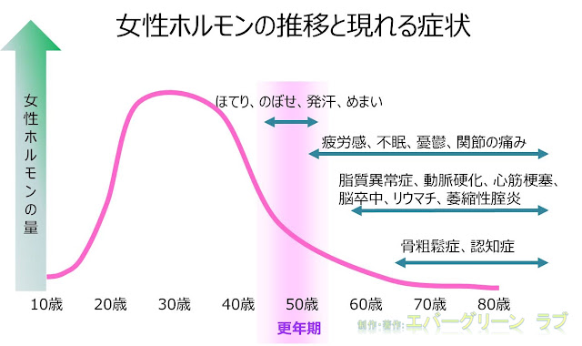 エストロゲン,女性ホルモン,更年期,更年期症状,ホルモン補充療法(HRT),骨粗鬆症,動脈硬化,リウマチ,関節痛,骨折,女性医学,閉経