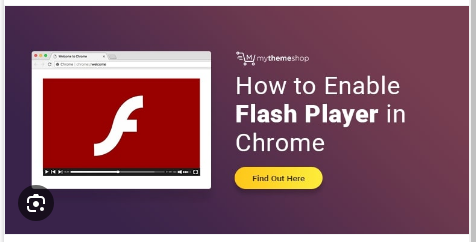 How to Turn on Adobe Flash in Chrome Browser