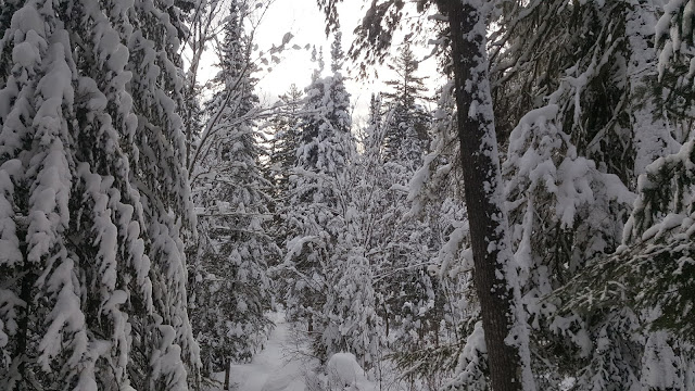 Sentier pour les Chutes-à-Bull