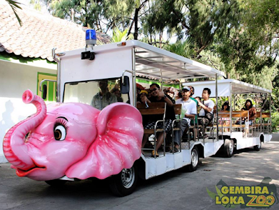 Transportasi keliling kebun binatang gembira loka yogya