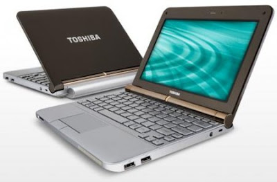 Notebook Toshiba NB200-A101