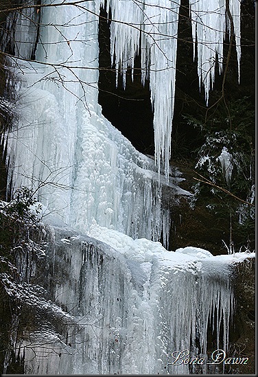AC11_2011