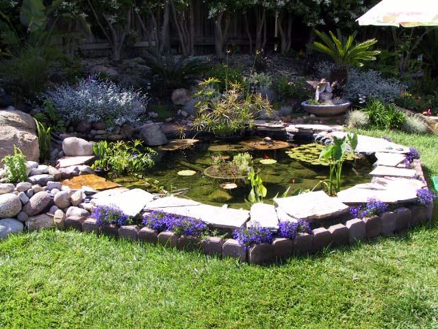 Charmed: Dreaming of a backyard pond