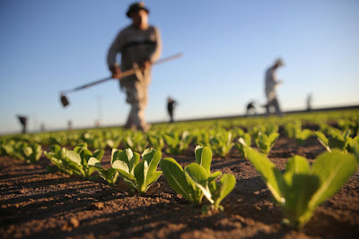 modern-farming-trouble