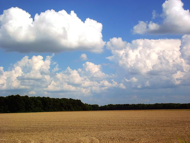 Indiana Photo of the Day - Newly Planted Corn Fields - Michigan Road, Napoleon Indiana