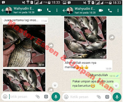 Testimoni Master Essen Ikan Mas