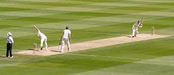 What is cricket and its reasons and benefits are as follows