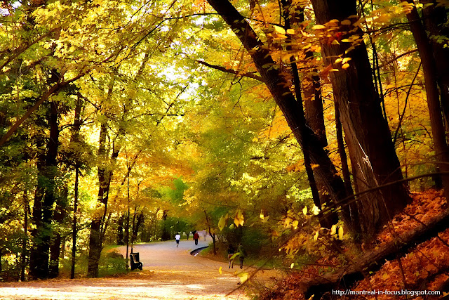 Risultati immagini per automne gay