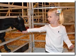 FAIR13 4