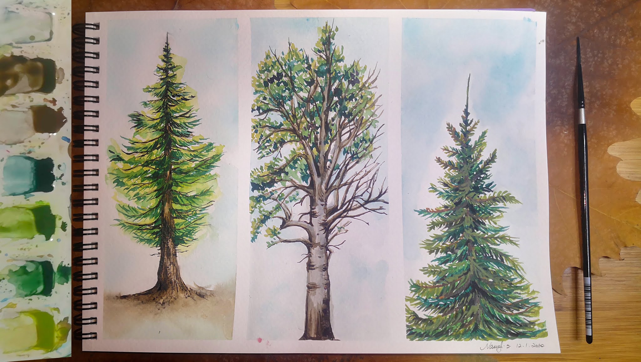 https://www.hinewme.com/2020/12/3-how-to-draw-watercolor-trees-step-by.html