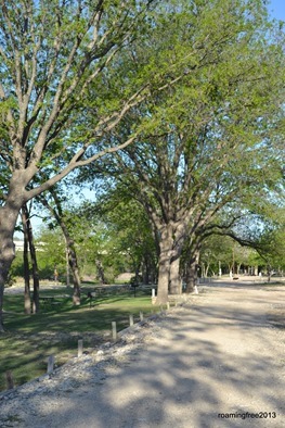 Sites along the North Llano River