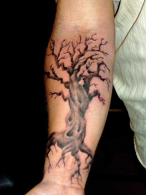 getting a tree tattoos