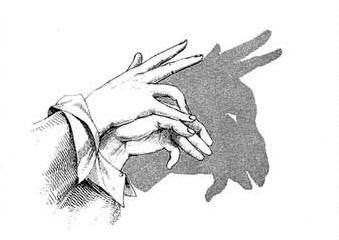 Hand Shadow Illusions