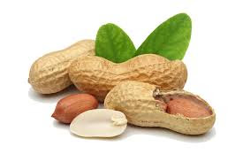 health benefits of peanut