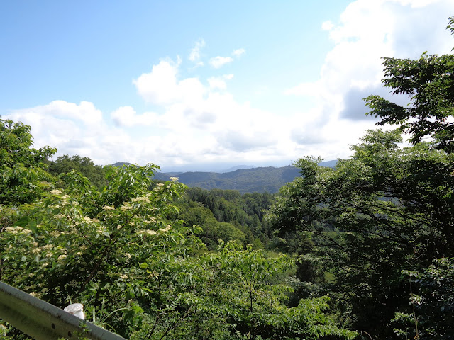 鎌倉山グリーンラインからの風景