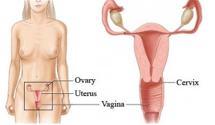 Yoni Sankuchan or Sex ke Dauraan Dard ka Upchar