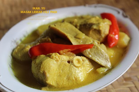 ikan jerung putih masak