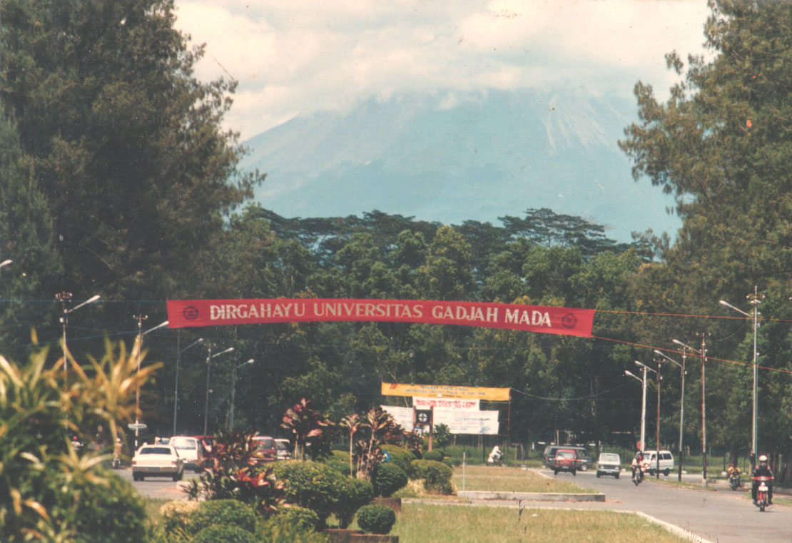 Universitas Gadjah Mada classic Celana Kotak