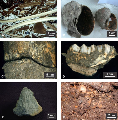 Scientists unearth secrets of Bolivian Amazonia