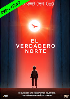 EL VERDADERO NORTE – TRUE NORTH – DVD-5 – DUAL LATINO – 2020 – (VIP)