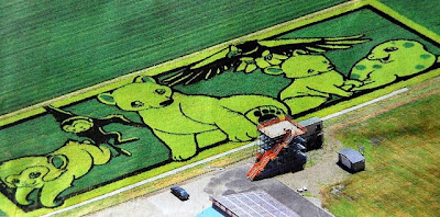 Japanese Rice Paddy Art 2010